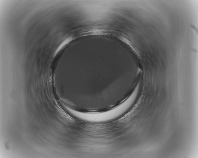X0000099381450200805081435