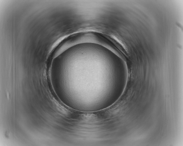 X0000099381452200805081435