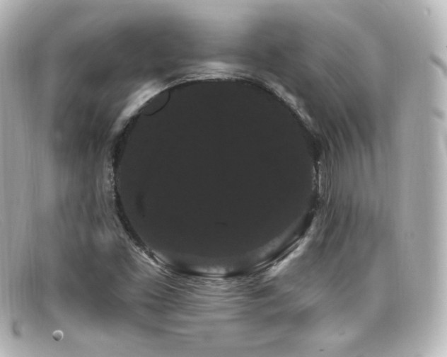 X0000099381453200805081435
