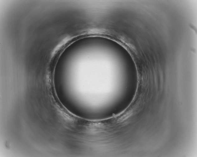 X0000099381454200805081435