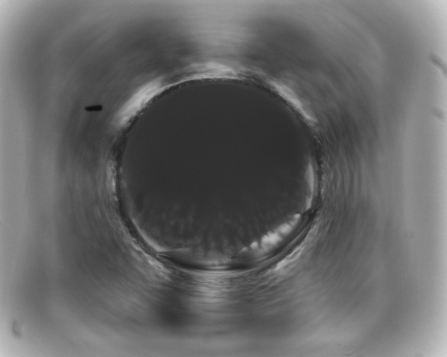X0000099381455200805081435