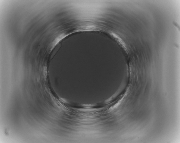 X0000099381457200805081435
