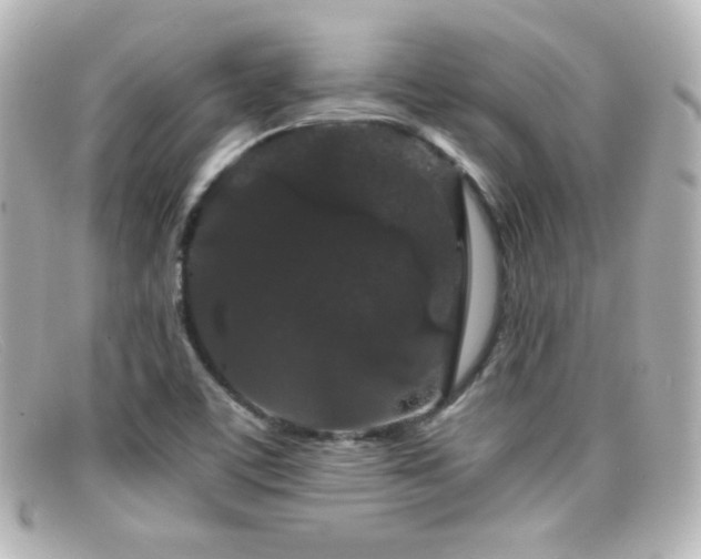 X0000099381459200805081435