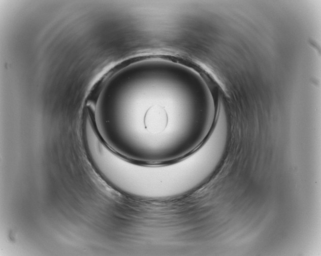 X0000099381460200805081435