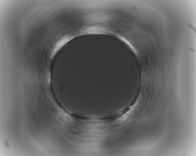 X0000099381461200805081435