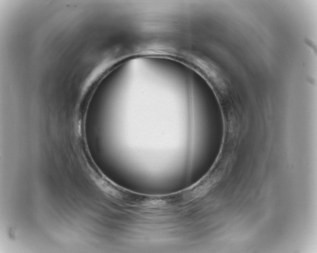X0000099381462200805081435