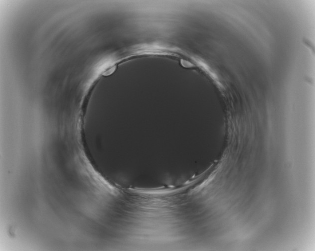 X0000099381463200805081435