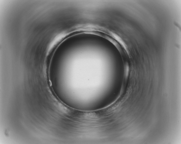 X0000099381464200805081435