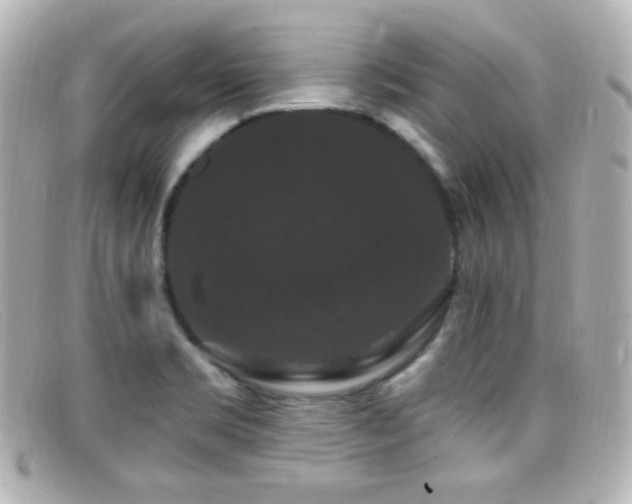 X0000099381469200805081435