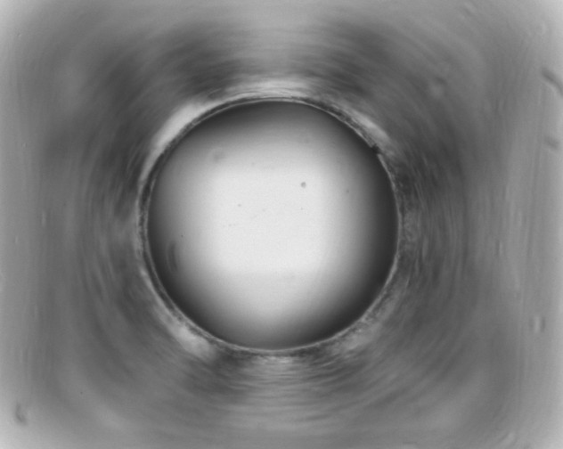 X0000099381470200805081435