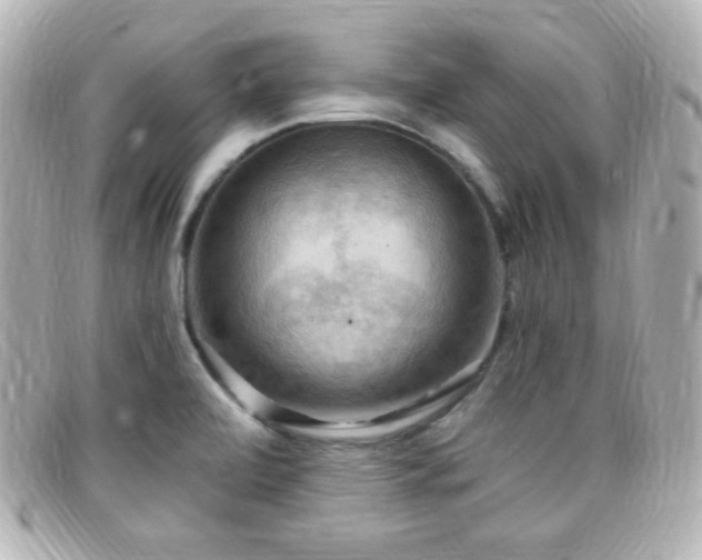 X0000099381472200805081435