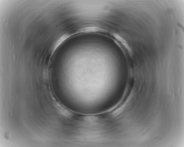 X0000099381473200805081435