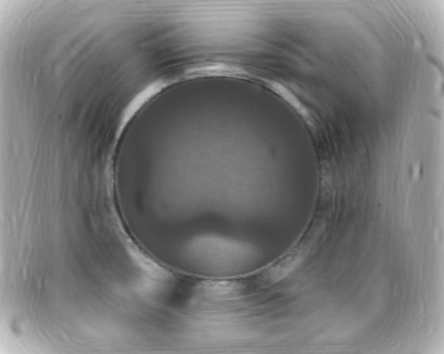 X0000099381474200805081435