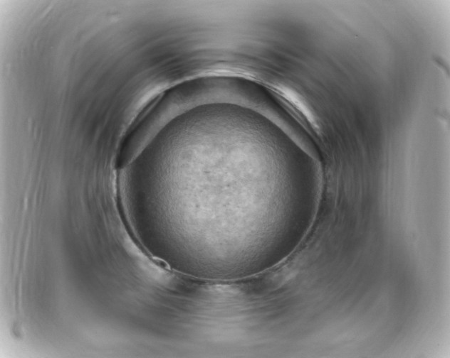 X0000099381476200805081435
