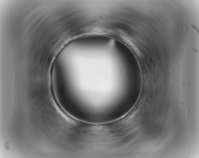 X0000099381479200805081435