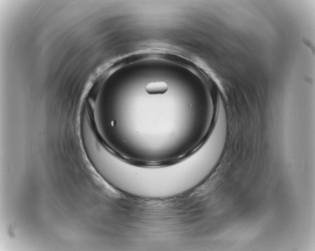 X0000099381480200805081435