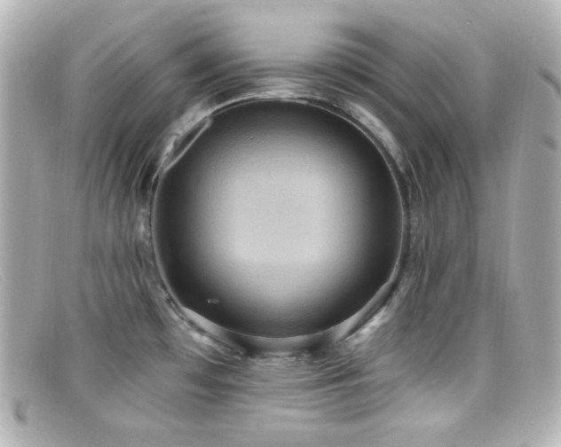 X0000099381481200805081435