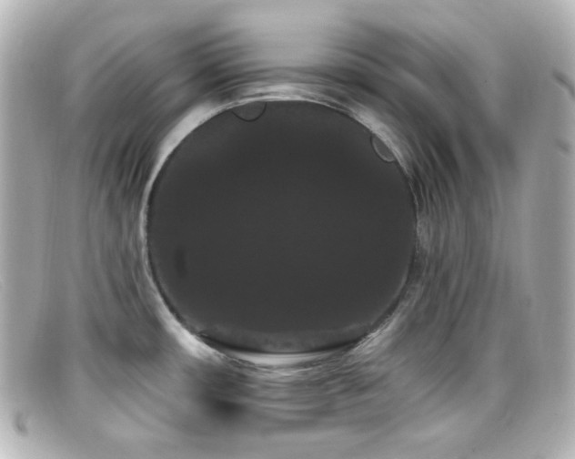 X0000099381482200805081435