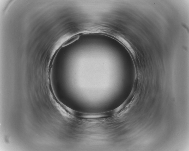 X0000099381485200805081434