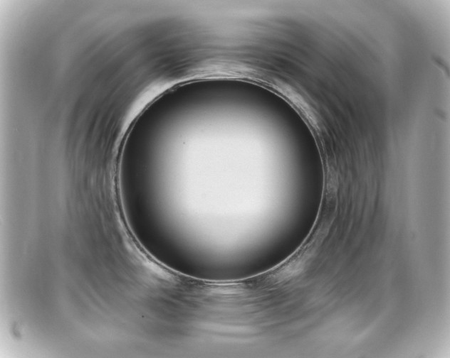 X0000099381486200805081434