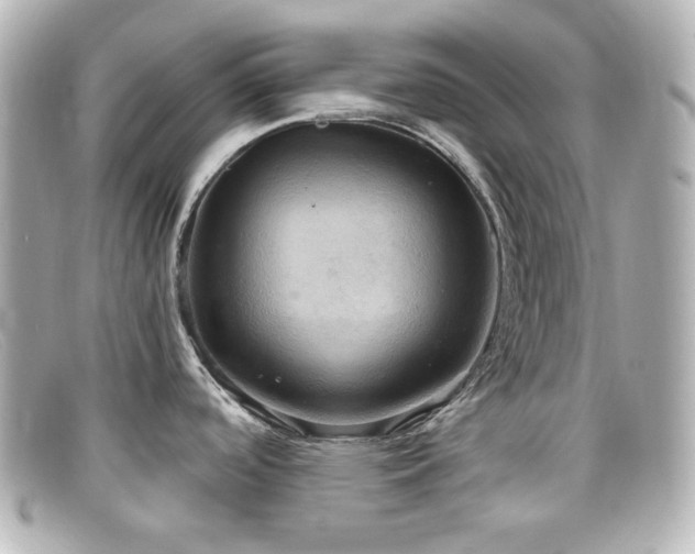 X0000099381488200805081434