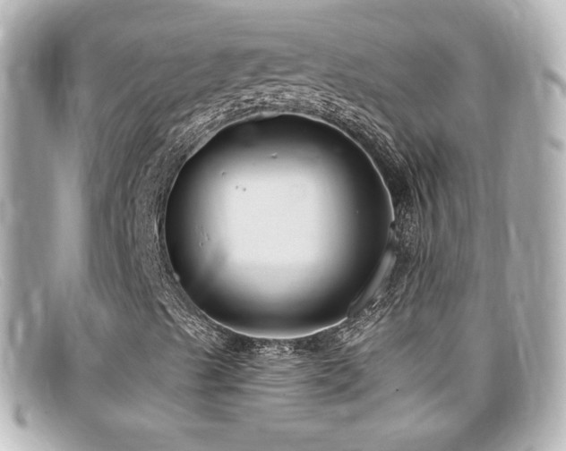 X0000099381489200805081434