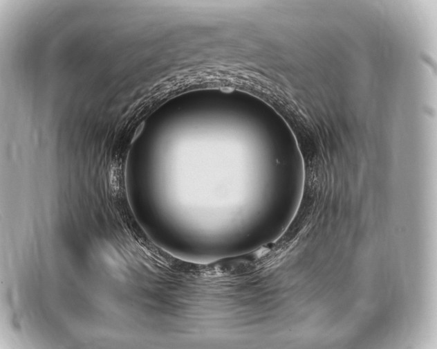 X0000099381490200805081434