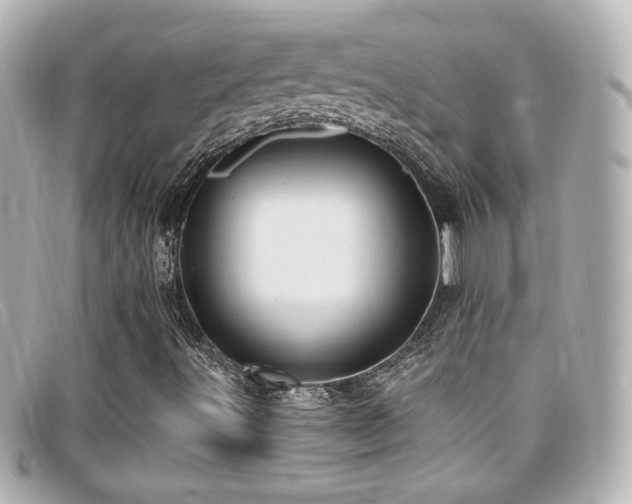 X0000099381491200805081434