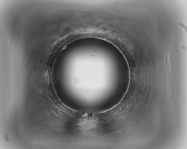 X0000099381493200805081434