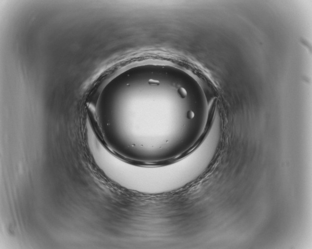 X0000099381496200805081434