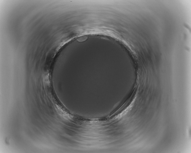 X0000099381497200805081434