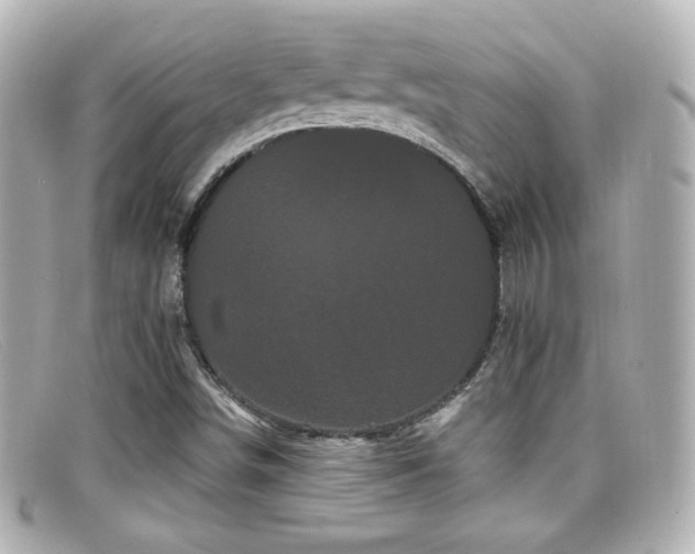 X0000099381498200805081434