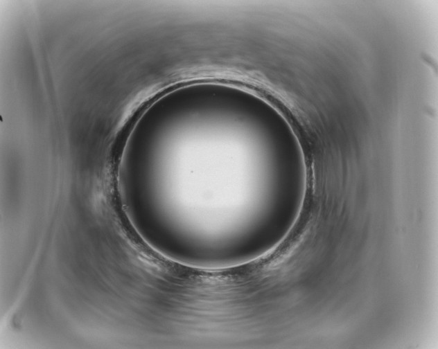 X0000099381501200805081434
