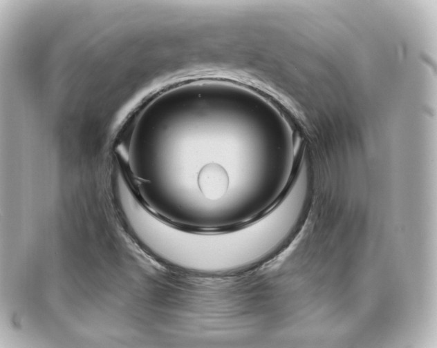 X0000099381502200805081434