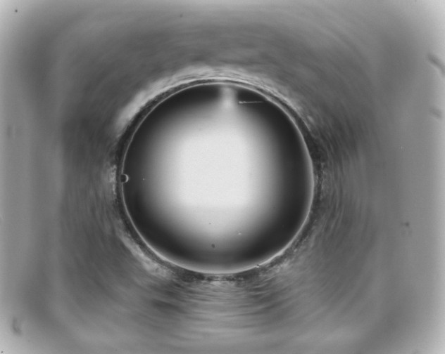 X0000099381503200805081434
