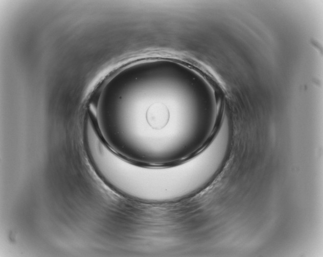 X0000099381504200805081434