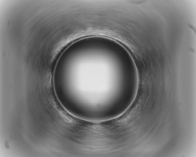X0000099381507200805081434