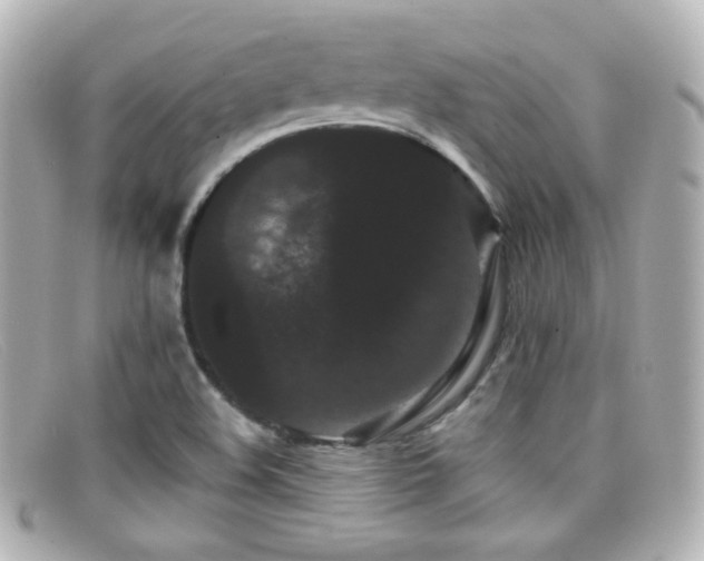 X0000099381508200805081434