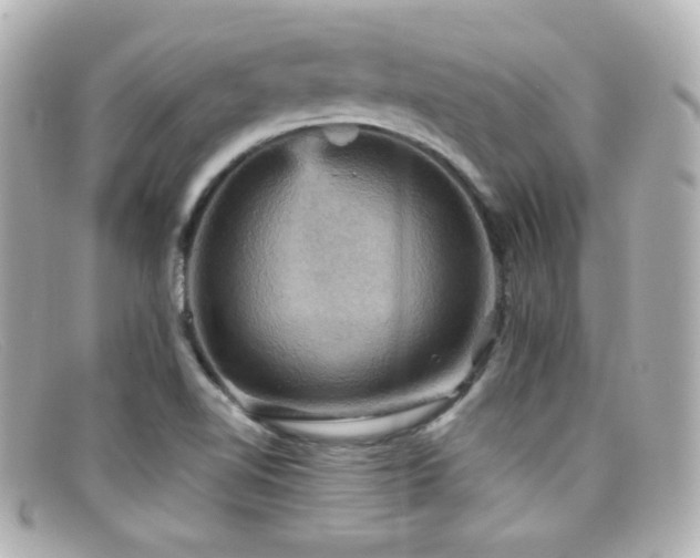 X0000099381510200805081434
