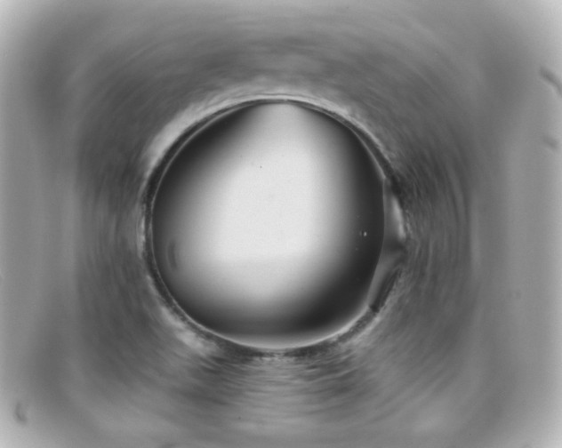 X0000099381511200805081434