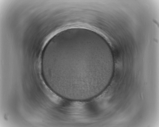 X0000099381514200805081434