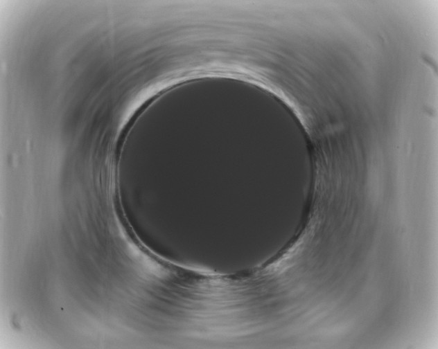 X0000099381515200805081434