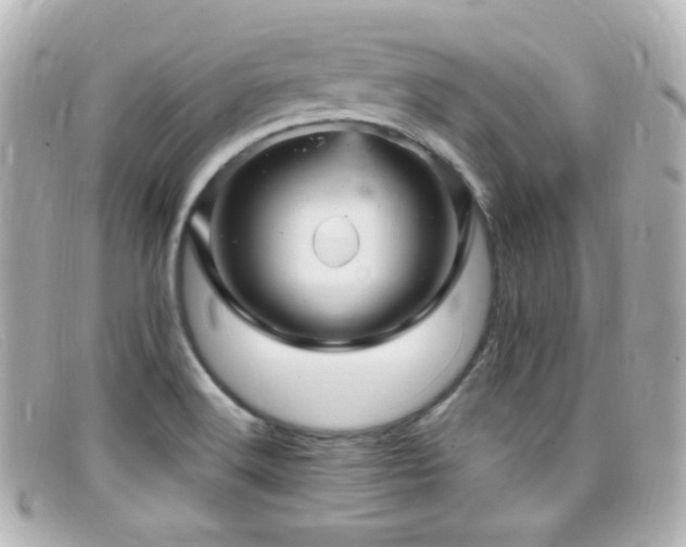 X0000099381516200805081434