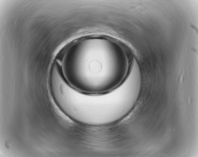 X0000099381518200805081434