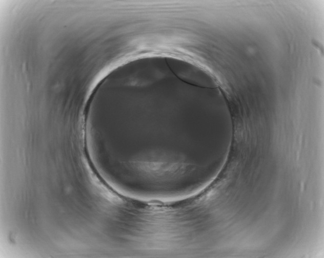 X0000099381522200805081434