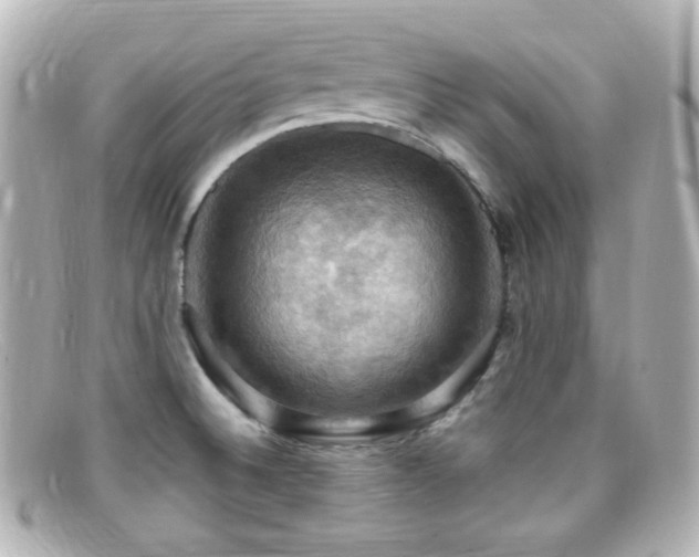 X0000099381524200805081434
