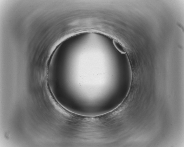 X0000099381526200805081434