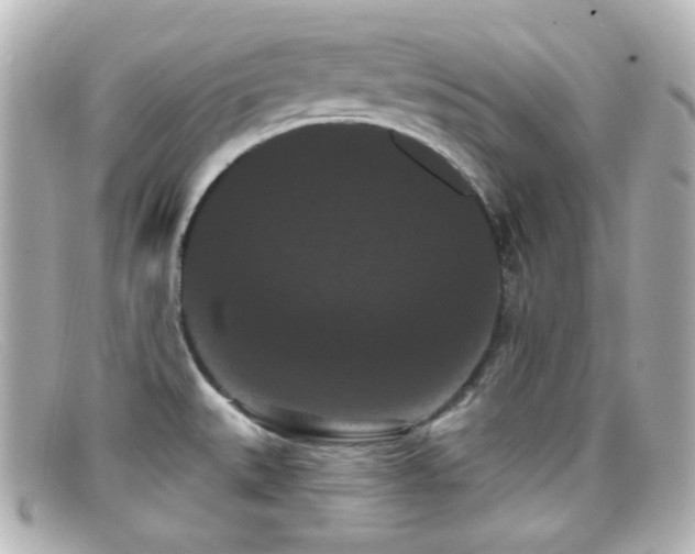 X0000099381527200805081434