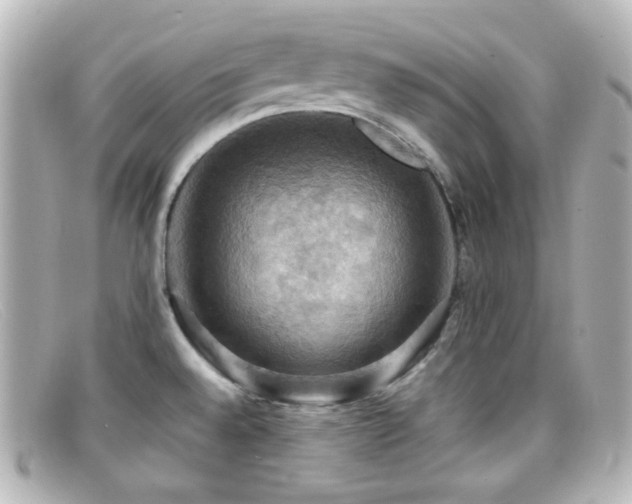 X0000099381528200805081434