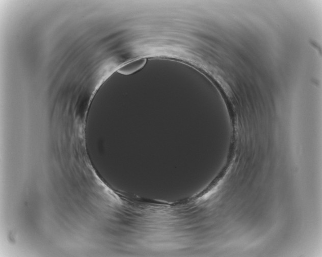 X0000099381529200805081434